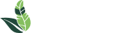 Te Guarani